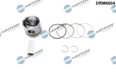 Piston Dr.Motor Automotive DRM6604