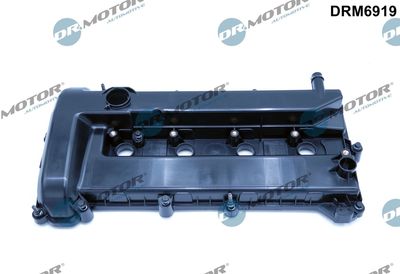 Cylinder Head Cover Dr.Motor Automotive DRM6919