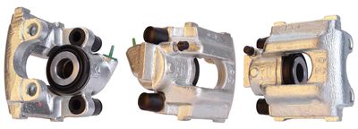 Brake Caliper DRI 4251500