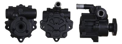 Hydraulic Pump, steering DRI 715521679