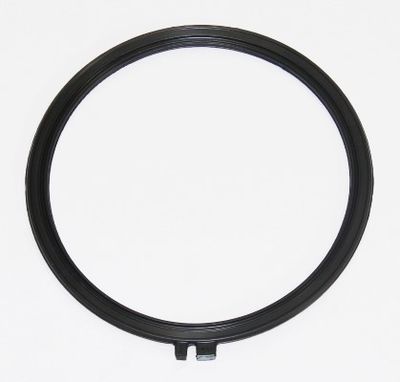 Gasket, crankcase ventilation ELRING 004.000