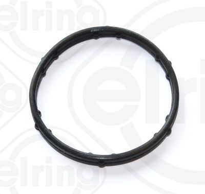 Seal Ring, coolant pipe ELRING 248.250