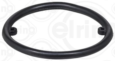 Seal Ring ELRING 634.380