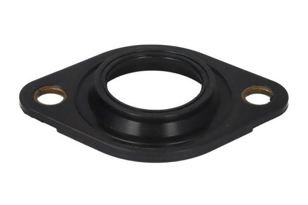 ENGITECH ENT250389/1 Seal Ring, injector