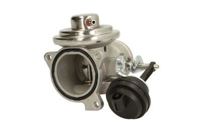 EGR Valve ENGITECH ENT500089