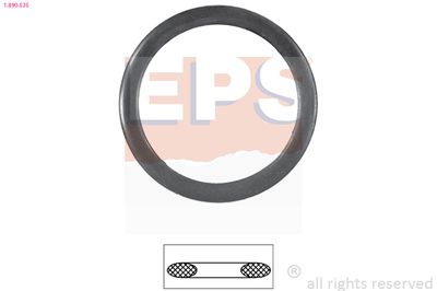 Seal, thermostat EPS 1.890.535