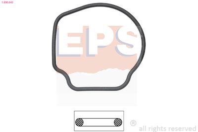 Seal, thermostat EPS 1.890.643