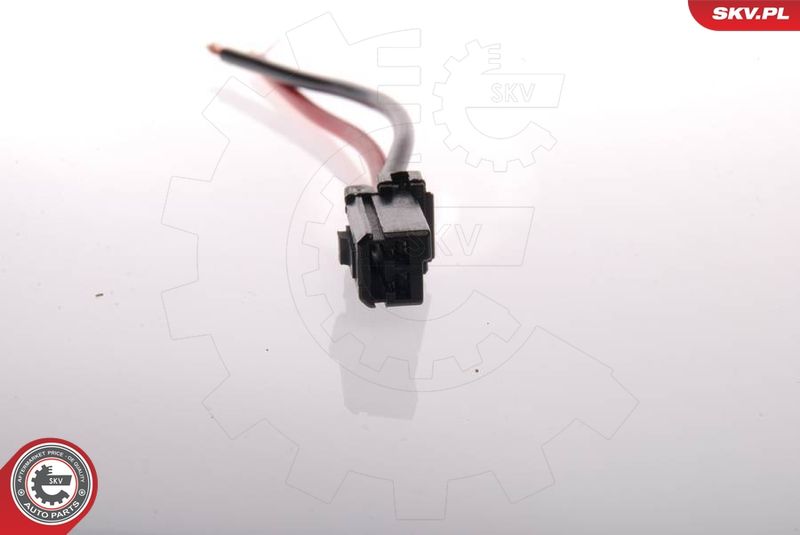 ESEN SKV 02SKV205 Fuel Pump