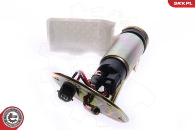 Fuel Feed Unit ESEN SKV 02SKV738