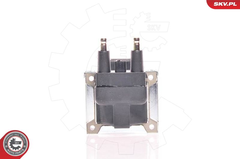 ESEN SKV 03SKV060 Ignition Coil