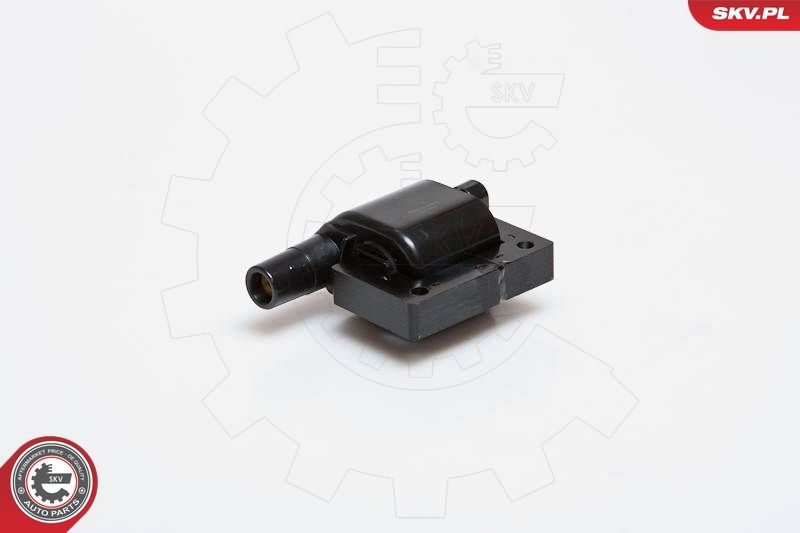 ESEN SKV 03SKV089 Ignition Coil