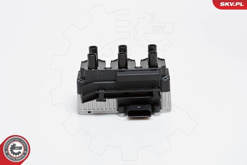 ESEN SKV 03SKV160 Ignition Coil