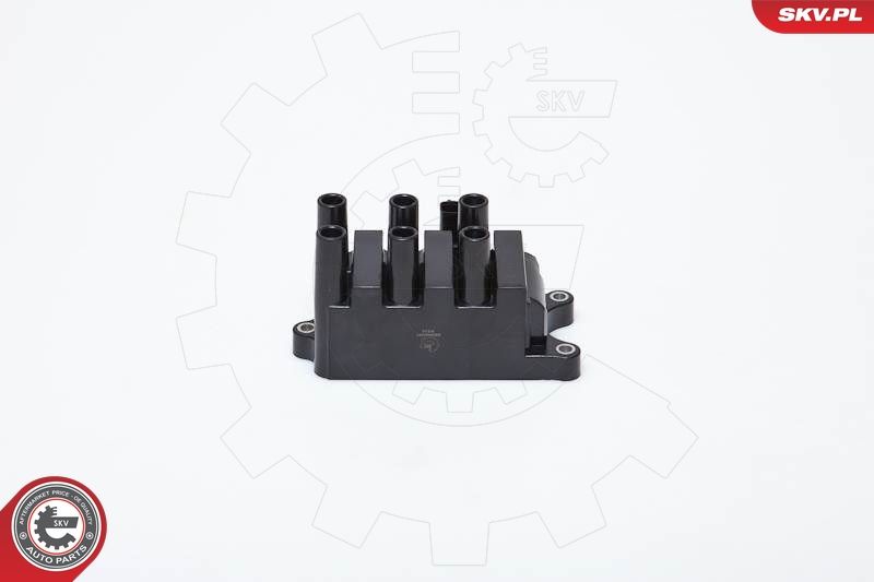 ESEN SKV 03SKV161 Ignition Coil