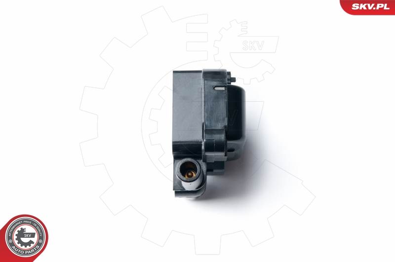 ESEN SKV 03SKV230 Ignition Coil