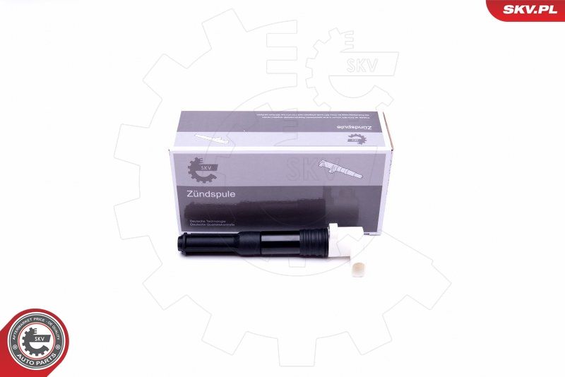 ESEN SKV 03SKV286 Ignition Coil