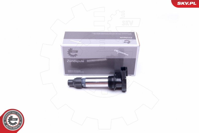 ESEN SKV 03SKV294 Ignition Coil