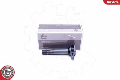 Ignition Coil ESEN SKV 03SKV306