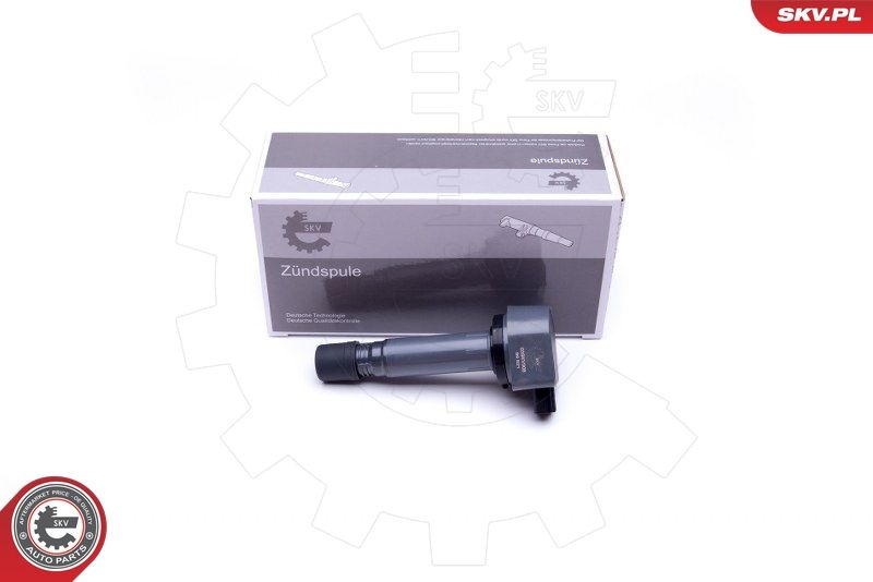 ESEN SKV 03SKV308 Ignition Coil