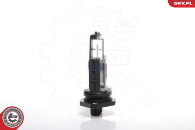 Mass Air Flow Sensor ESEN SKV 07SKV002