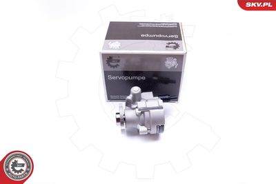 Hydraulic Pump, steering ESEN SKV 10SKV008