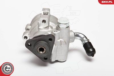 Hydraulic Pump, steering ESEN SKV 10SKV041