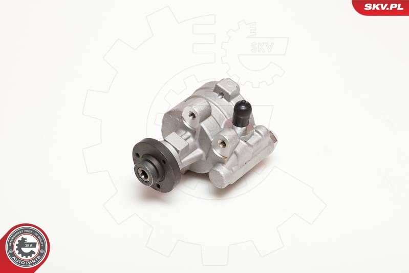 ESEN SKV 10SKV054 Hydraulic Pump, steering