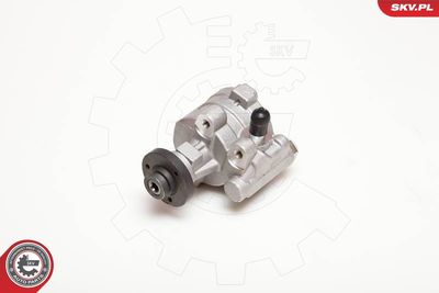 Hydraulic Pump, steering ESEN SKV 10SKV054