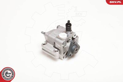 Hydraulic Pump, steering ESEN SKV 10SKV109