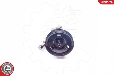 Hydraulic Pump, steering ESEN SKV 10SKV114