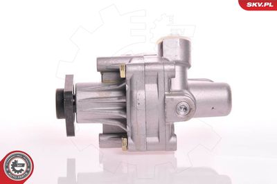 Hydraulic Pump, steering ESEN SKV 10SKV125