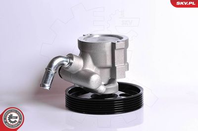 Hydraulic Pump, steering ESEN SKV 10SKV163