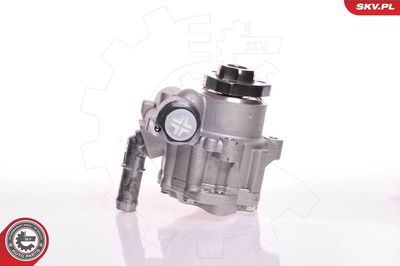 Hydraulic Pump, steering ESEN SKV 10SKV166