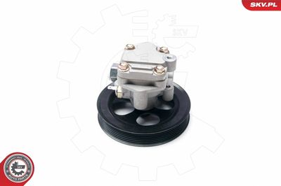 Hydraulic Pump, steering ESEN SKV 10SKV216