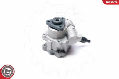 Hydraulic Pump, steering ESEN SKV 10SKV233