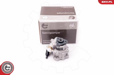 Hydraulic Pump, steering ESEN SKV 10SKV239