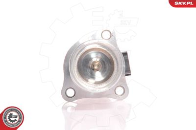 EGR Valve ESEN SKV 14SKV010