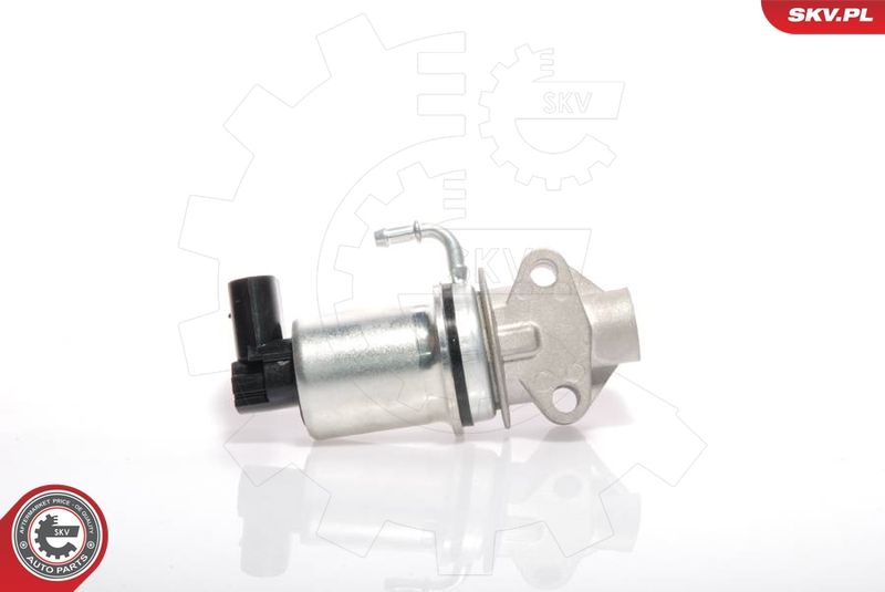 ESEN SKV 14SKV018 EGR Valve