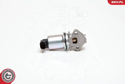 EGR Valve ESEN SKV 14SKV029