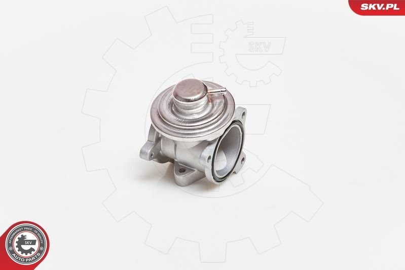 ESEN SKV 14SKV034 EGR Valve