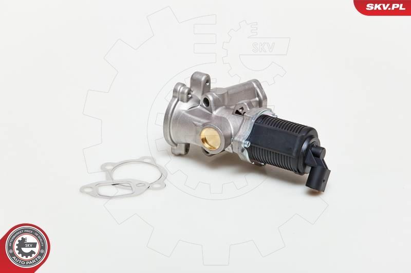 ESEN SKV 14SKV039 EGR Valve