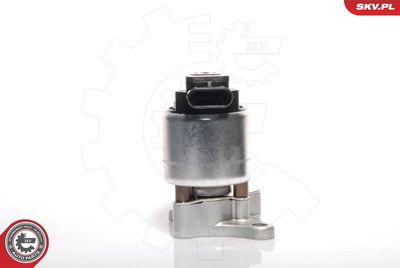 EGR Valve ESEN SKV 14SKV041