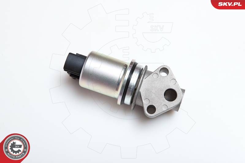 ESEN SKV 14SKV043 EGR Valve