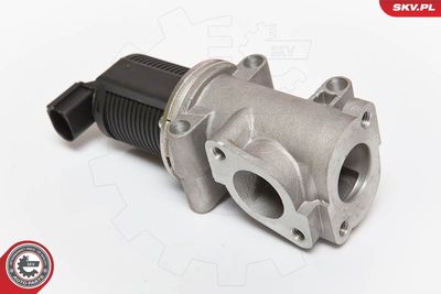 EGR Valve ESEN SKV 14SKV055