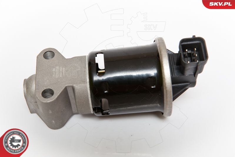 ESEN SKV 14SKV059 EGR Valve