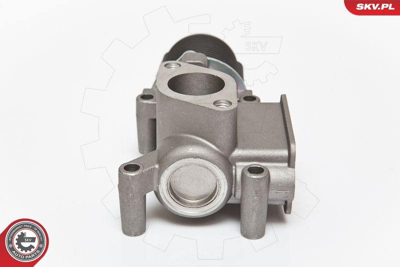 ESEN SKV 14SKV064 EGR Valve