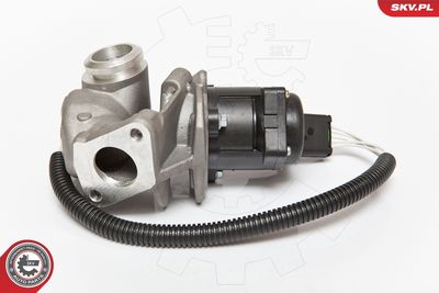 EGR Valve ESEN SKV 14SKV067