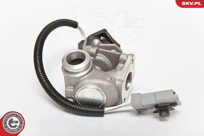 EGR Valve ESEN SKV 14SKV071