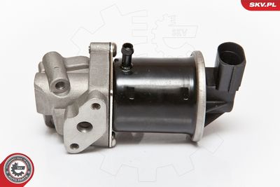 EGR Valve ESEN SKV 14SKV074