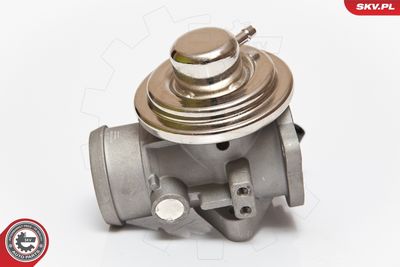 EGR Valve ESEN SKV 14SKV082