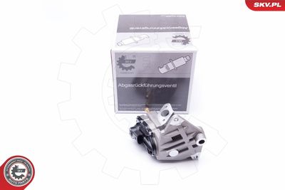 EGR Valve ESEN SKV 14SKV087